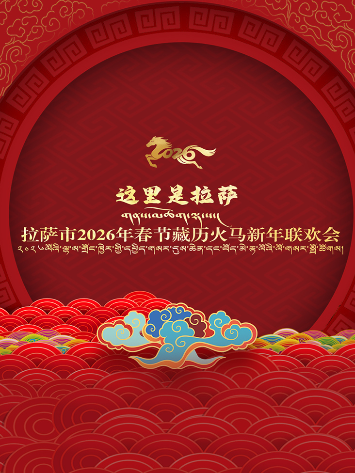 拉萨市2026年春节藏历火马新年联欢会