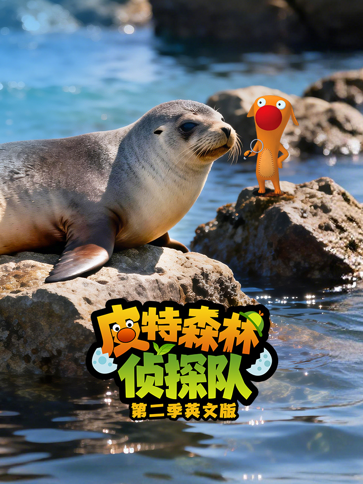 皮特森林侦探队第二季英文版封面图