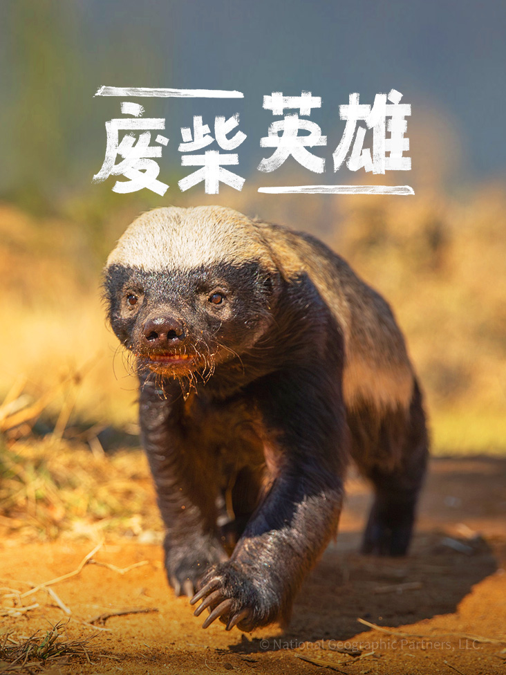 废柴英雄