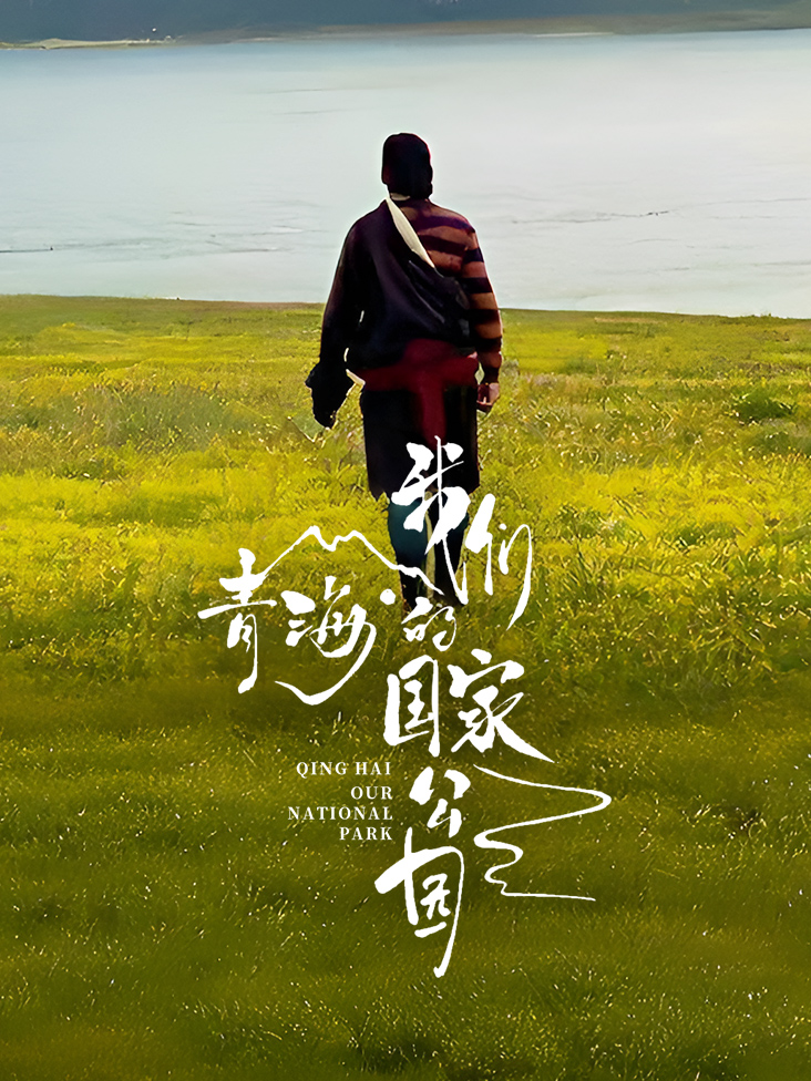 成都搬家