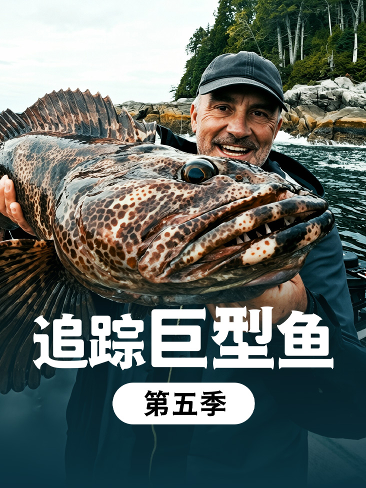 《追踪巨型鱼第五季》完整版免费在线观看