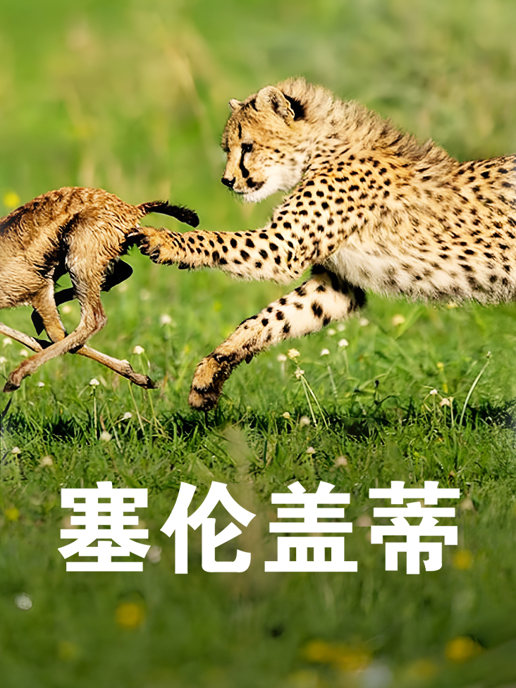 10月27号世界恋爱日