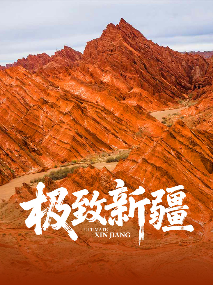 《极致新疆》完整版免费在线观看