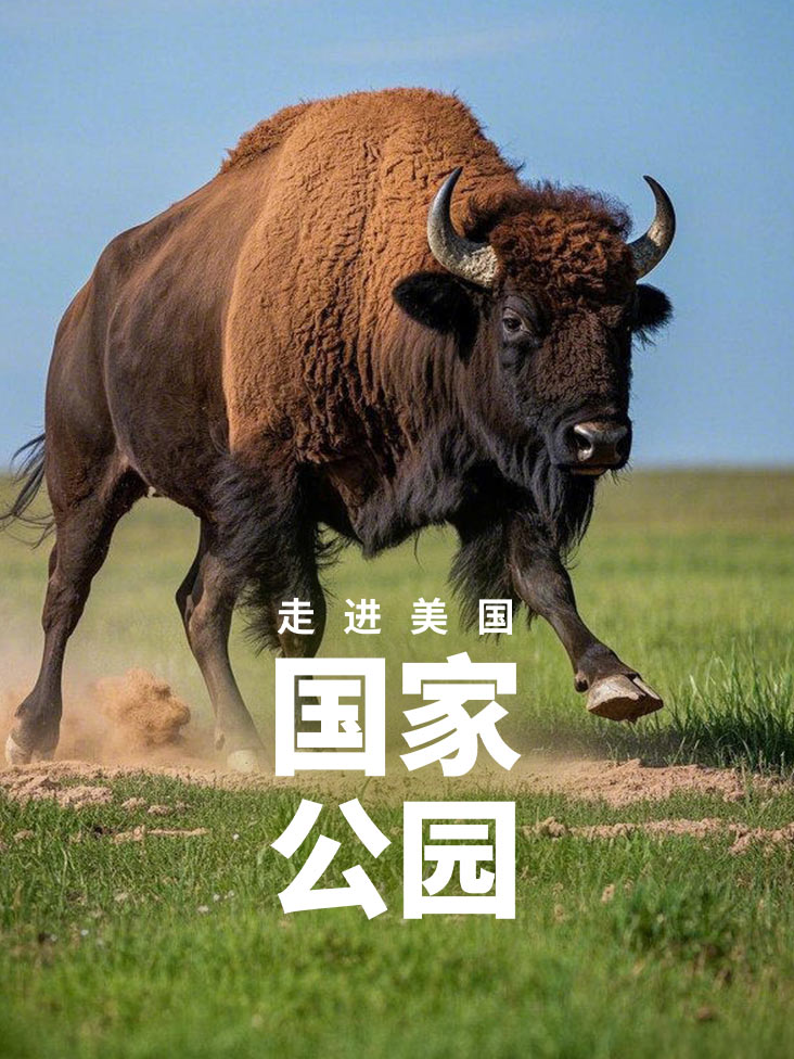 走进美国国家公园封面图