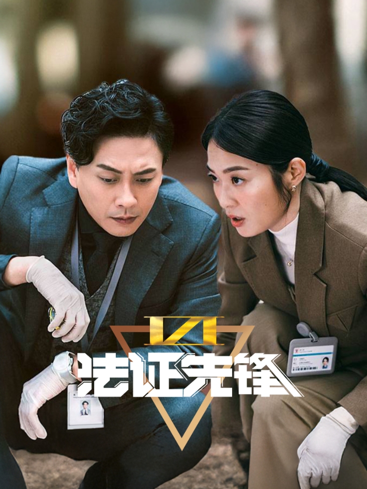 法证先锋VI幸存者的救赎