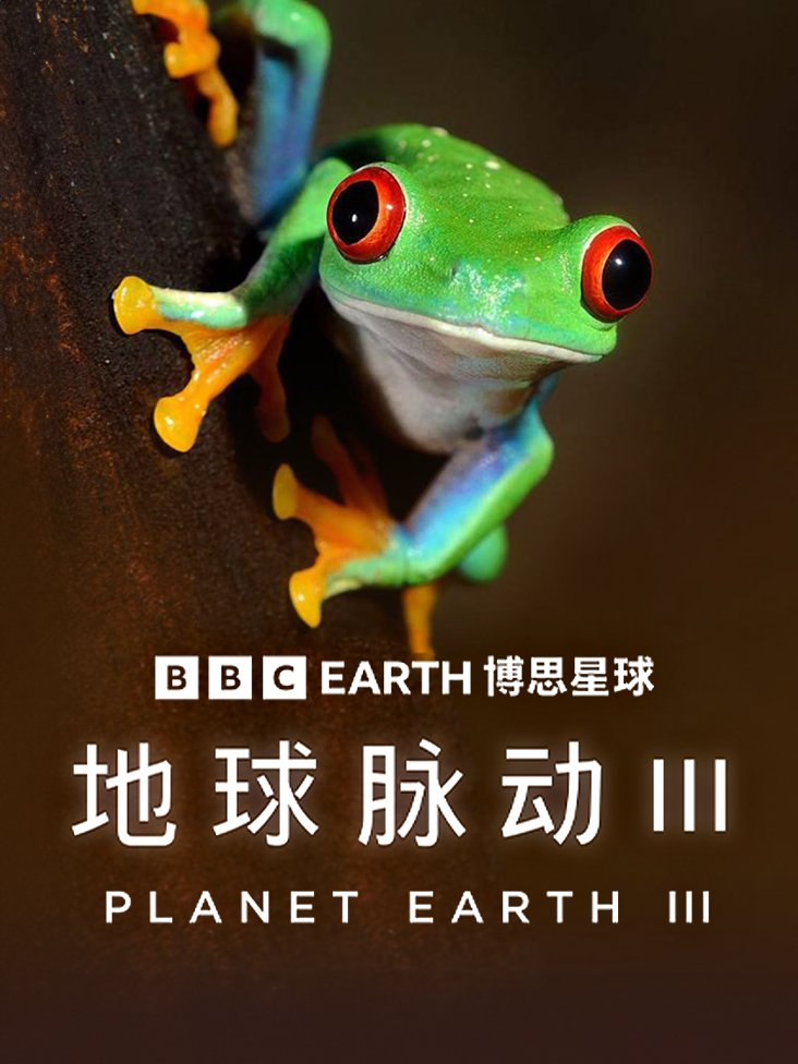 打擂台粤语
