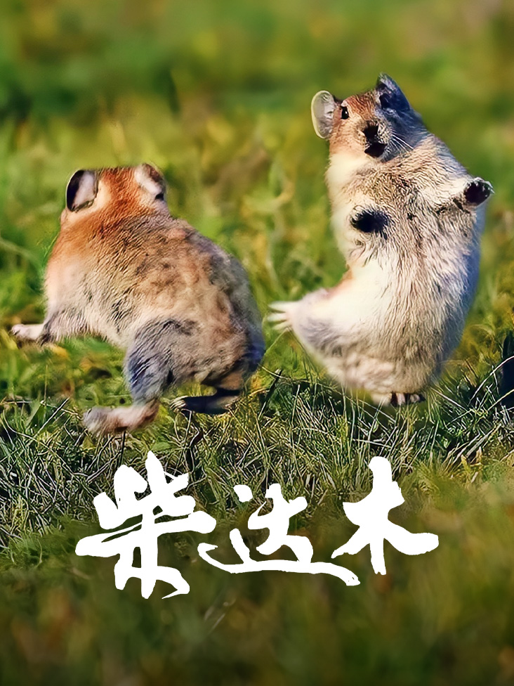 柴达木}