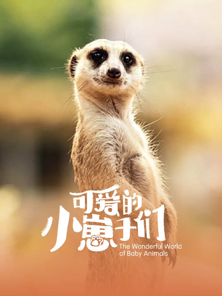 可爱的小崽子们
