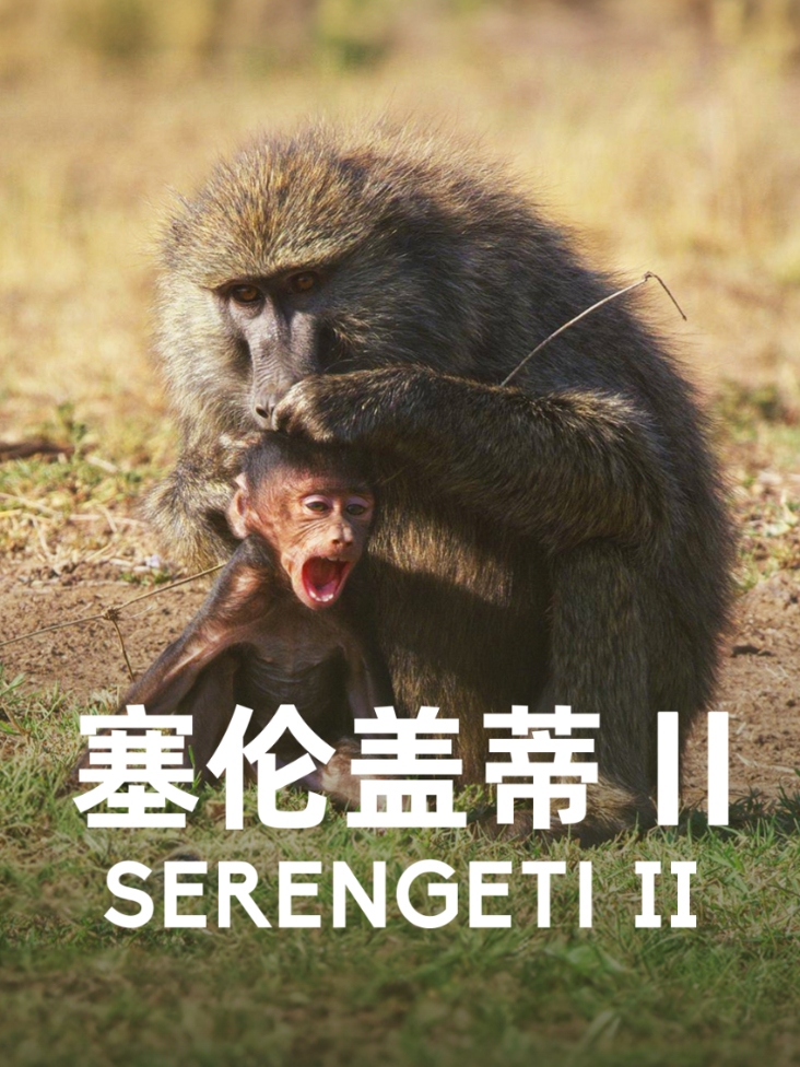 白鲸