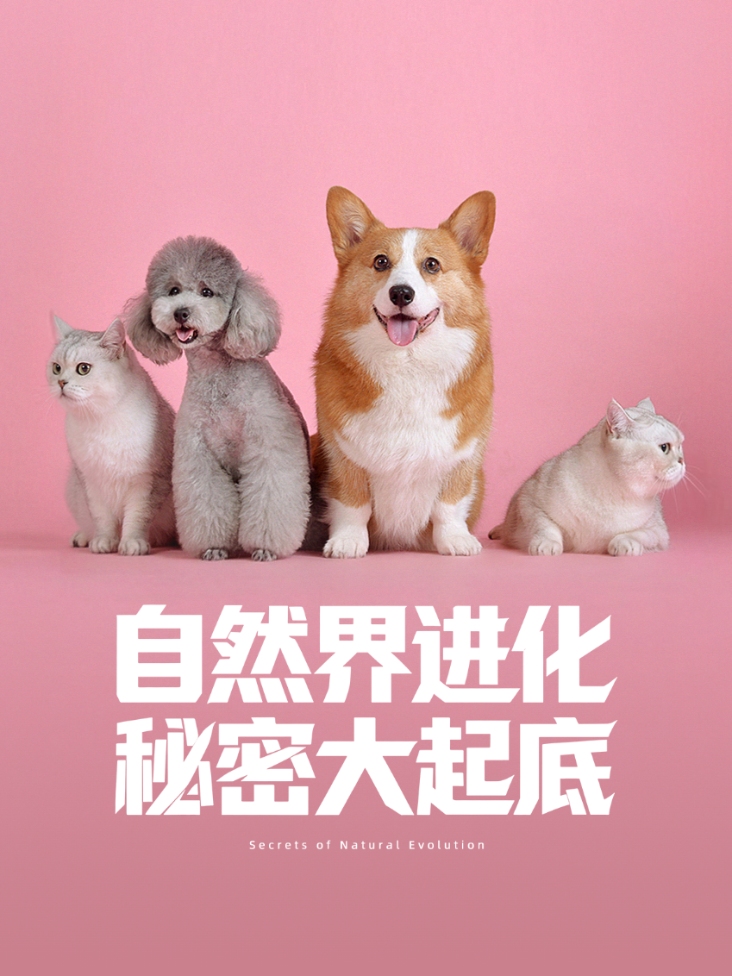 自然界进化秘密大起底