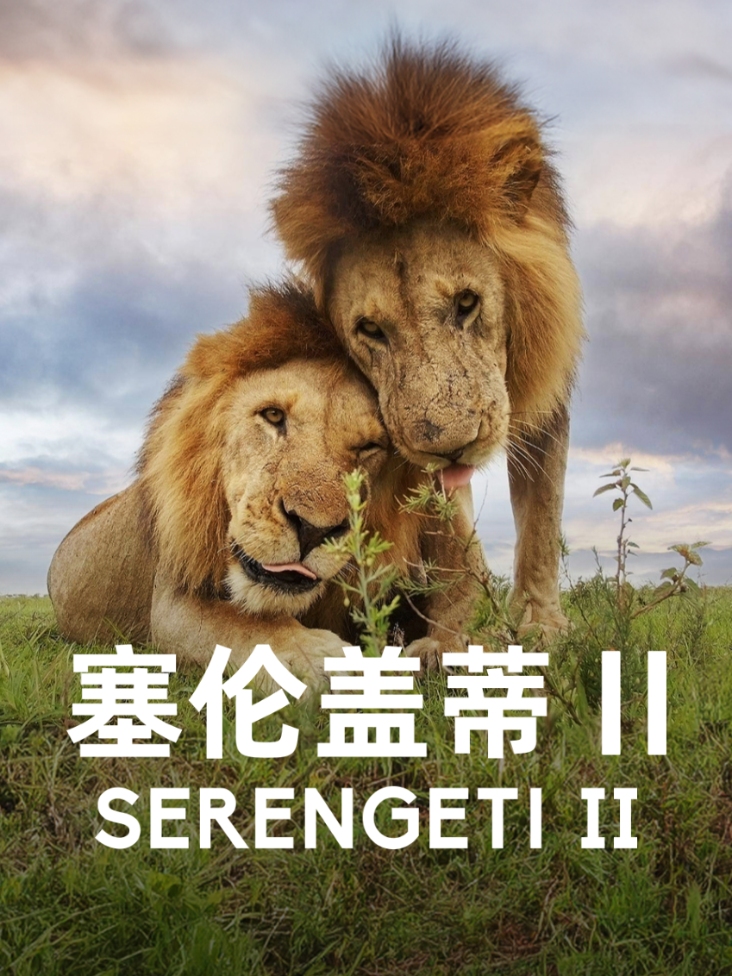 胎记算命图