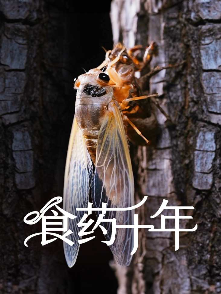 嫁给傅先生,福气找上门