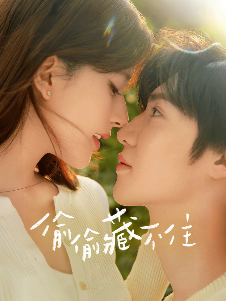 偷偷藏不住封面图