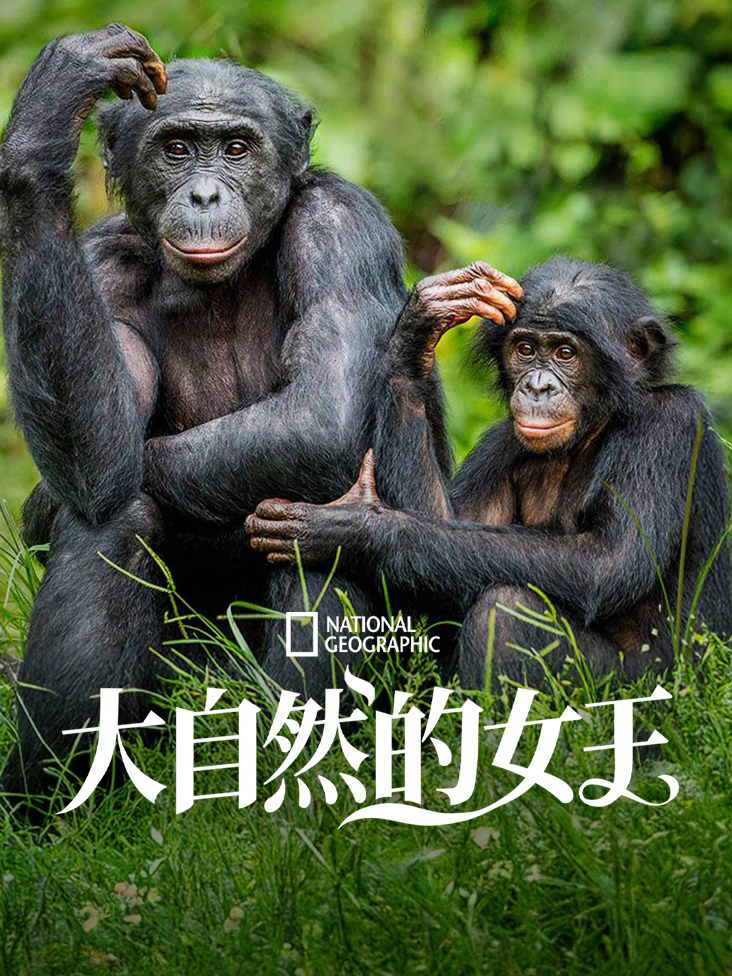 百事可乐广告铃声