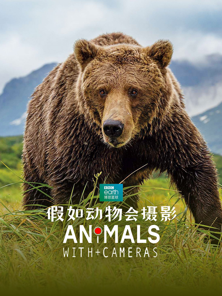 《假如动物会摄影》完整版免费在线观看