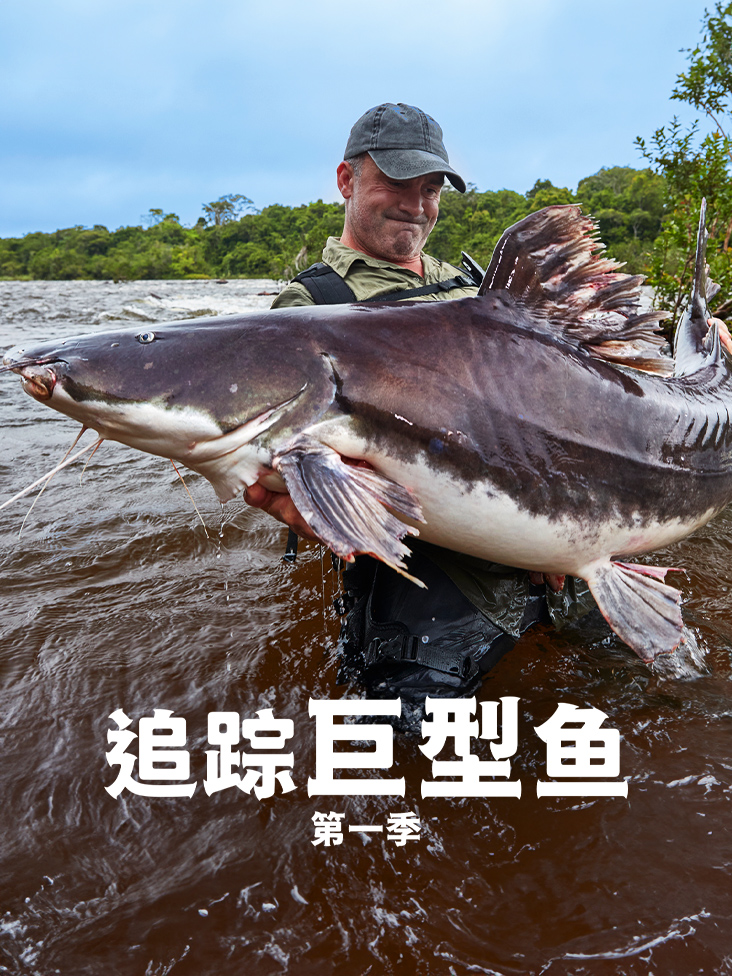 追踪巨型鱼 1}