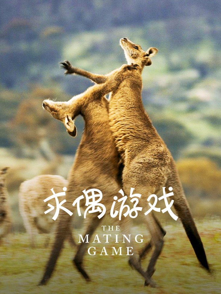 初恋鹿鼎记