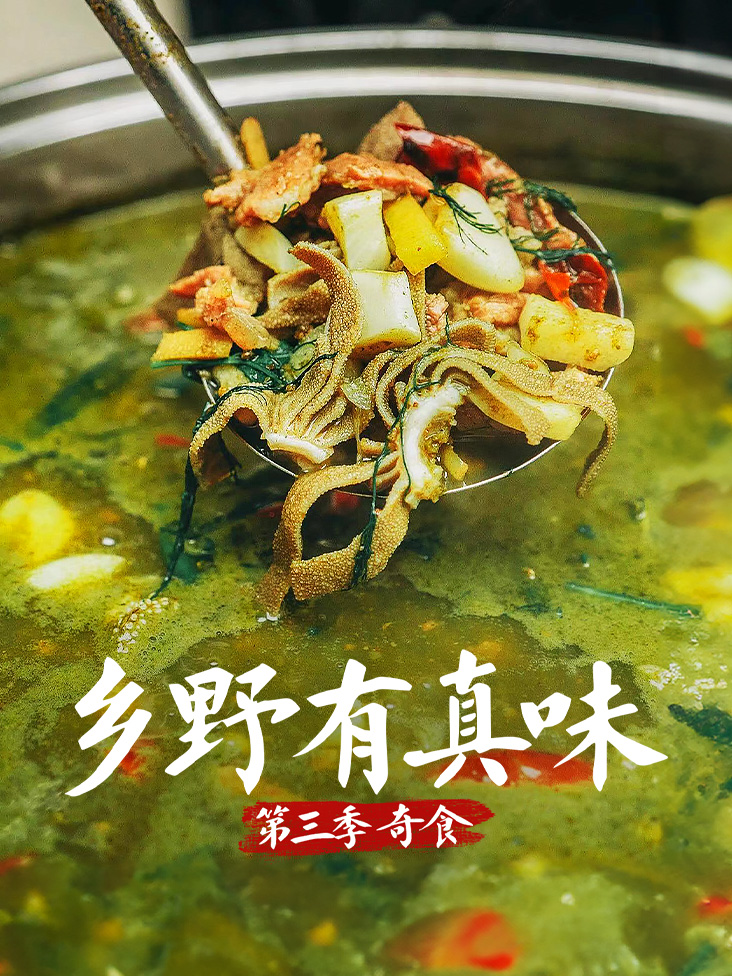 乡野有真味第三季奇食封面图
