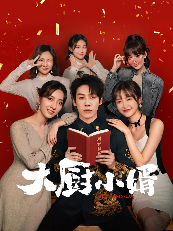 大厨小婿封面图