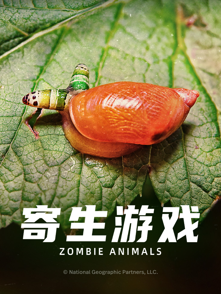寄生游戏