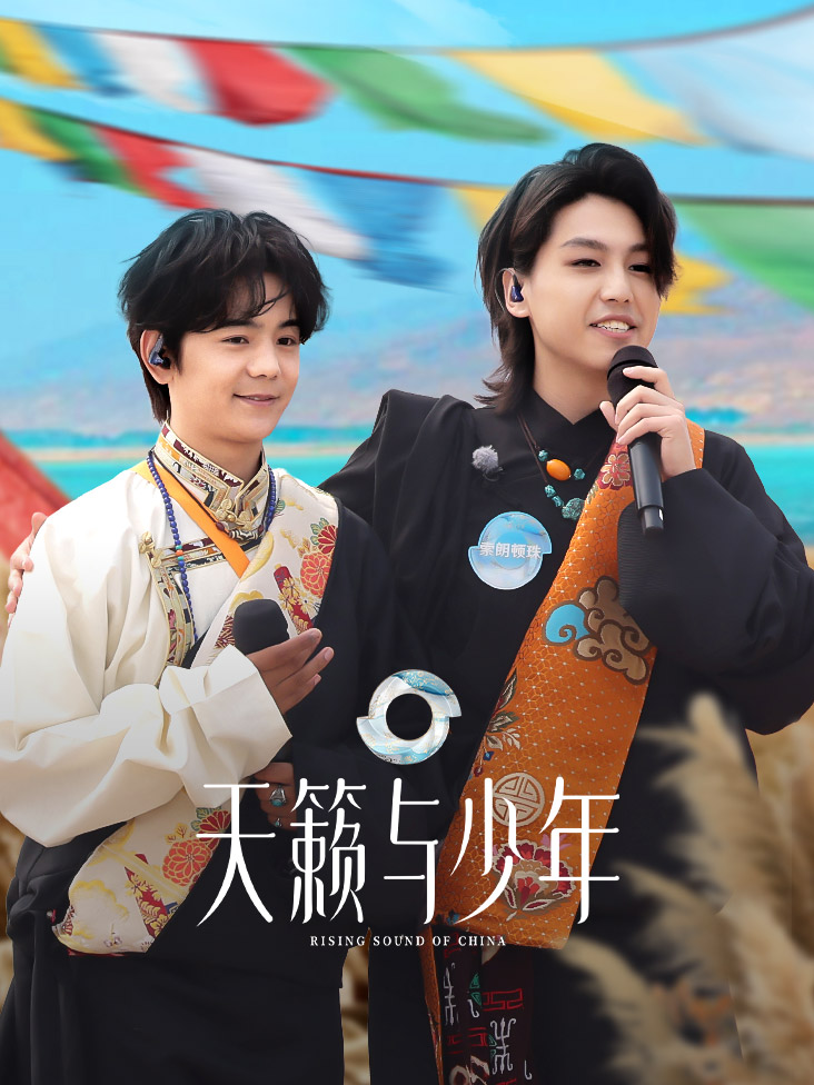 天籁与少年封面图