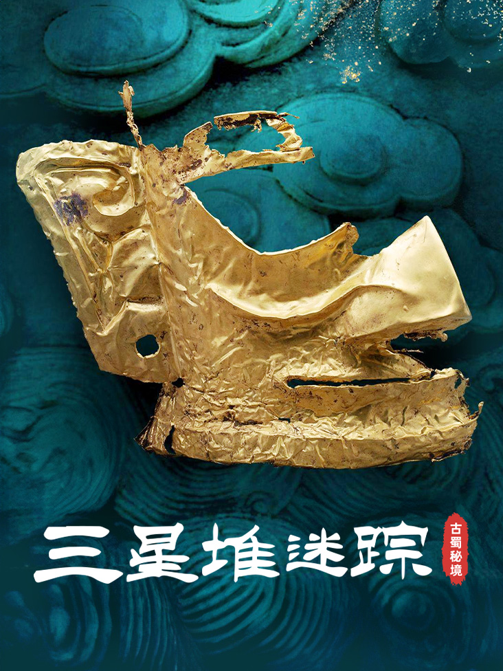 轻翼网