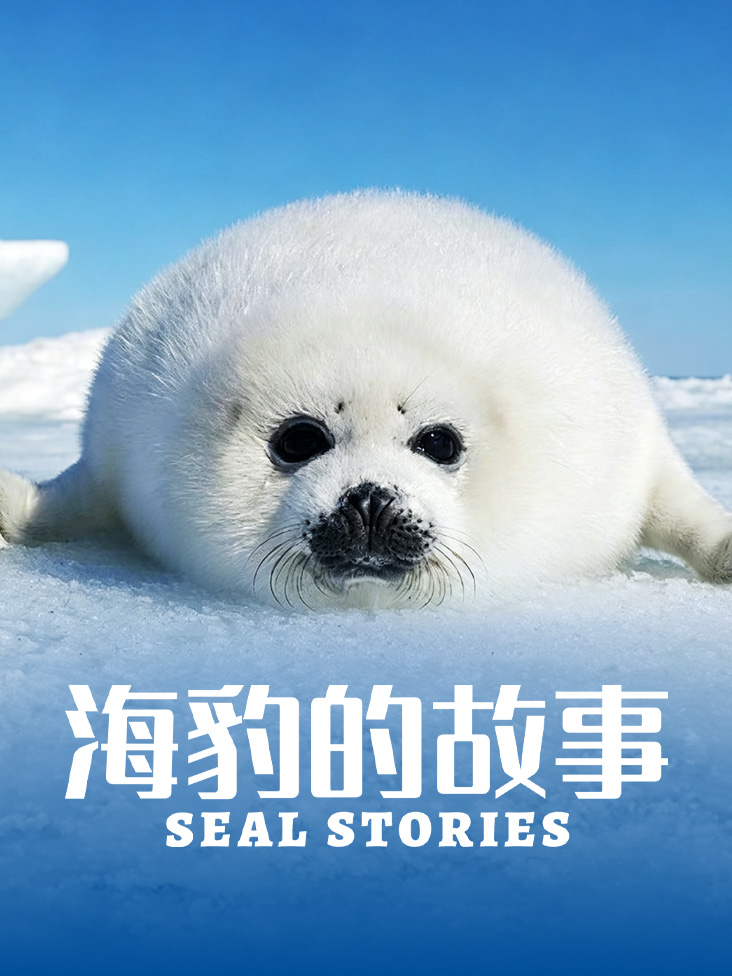 海豹的故事