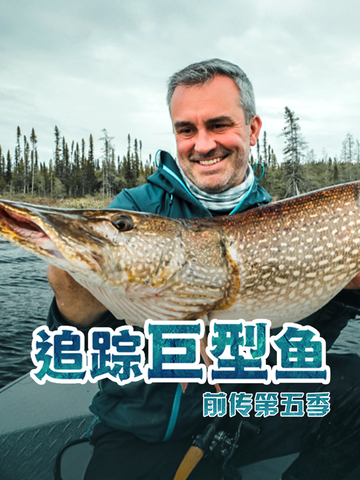 追踪巨型鱼前传第五季