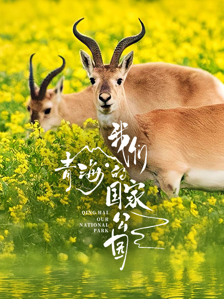 从负债到首富:怼人系统真香短剧