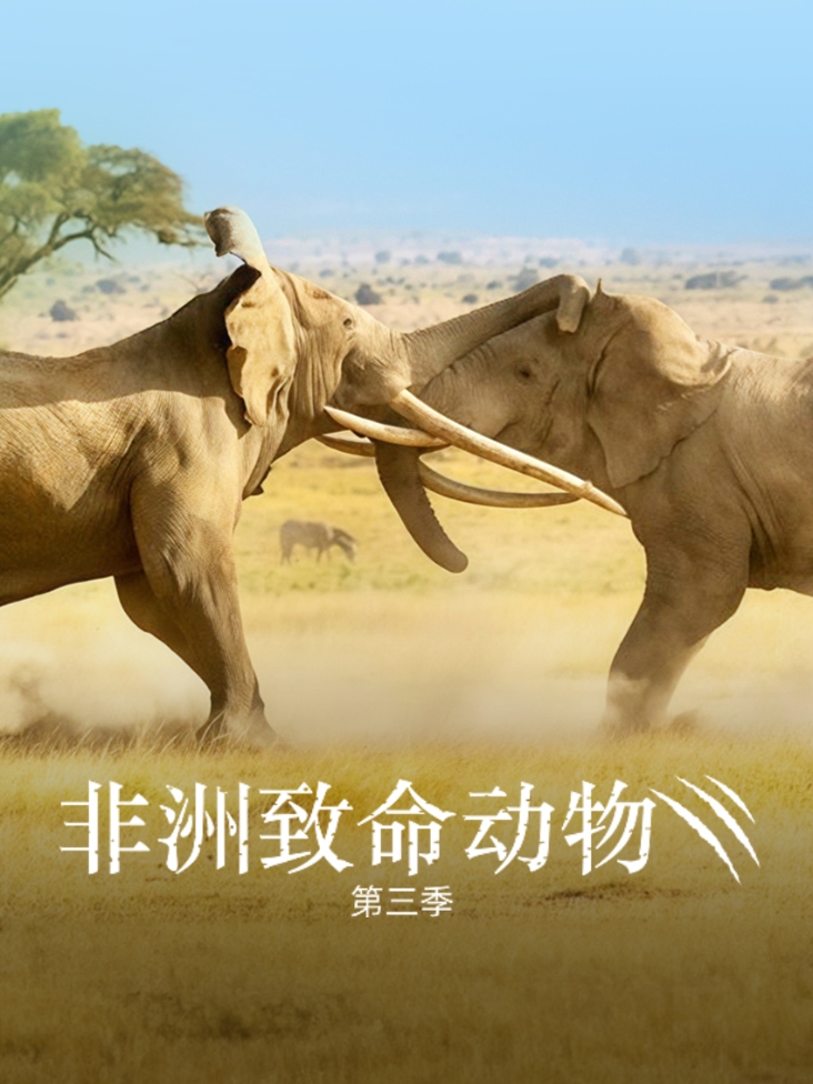 非洲致命动物第三季封面图
