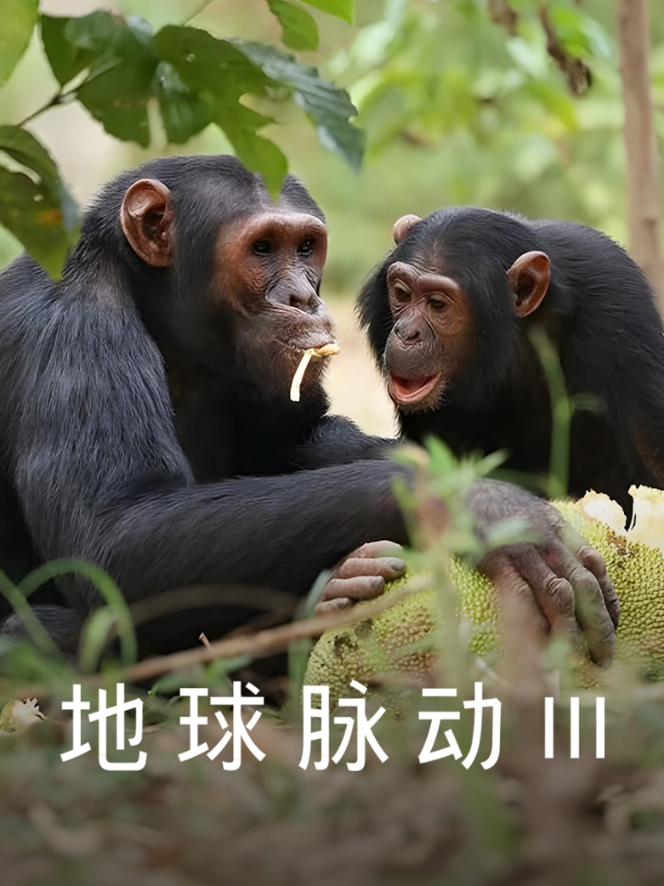 地球脉动 第三季