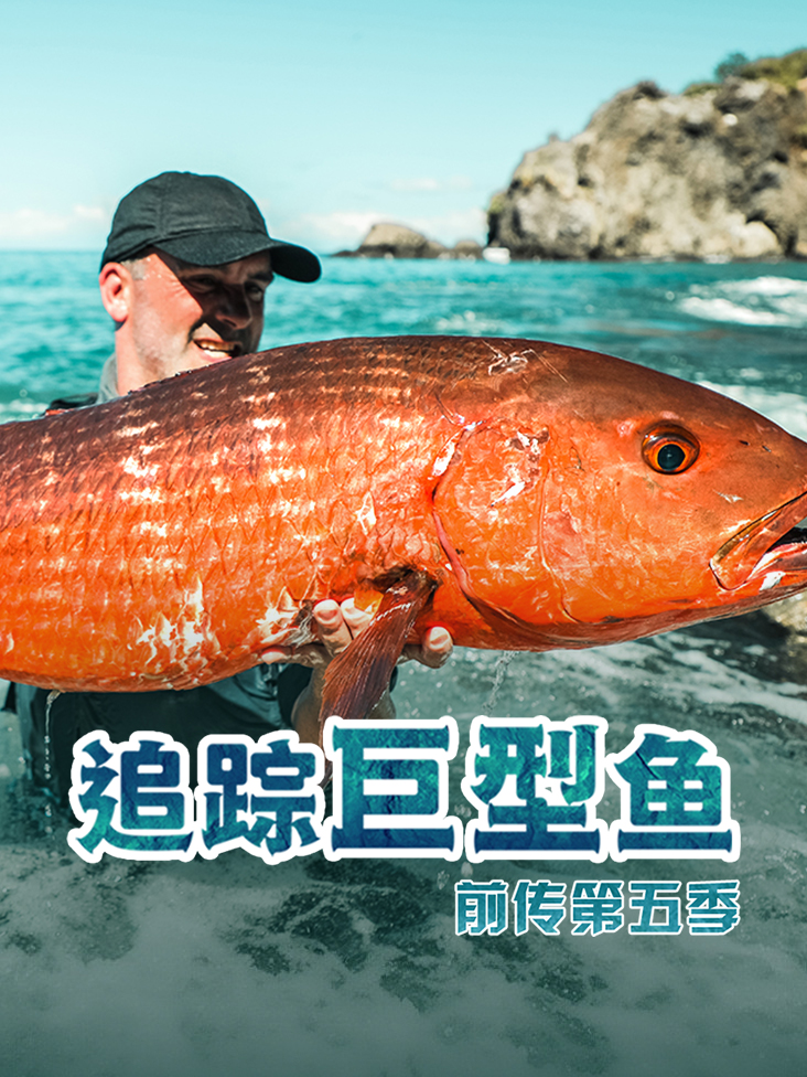 追踪巨型鱼前传第五季封面图