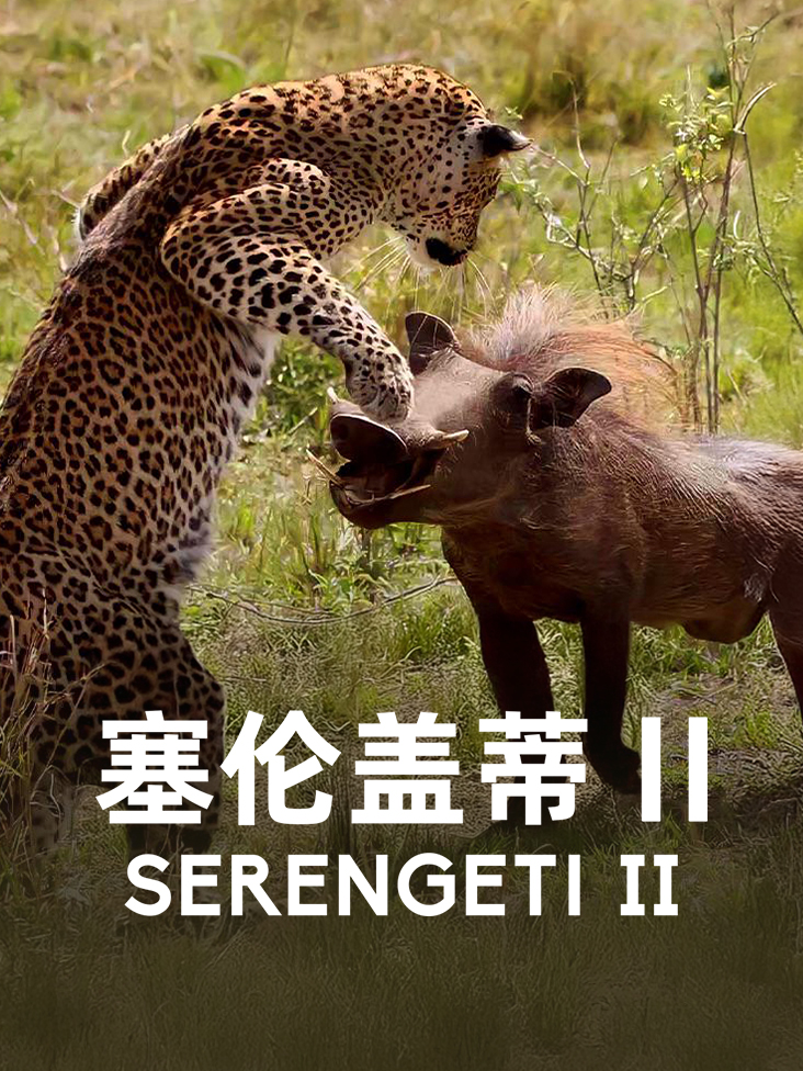 公子欢喜文集
