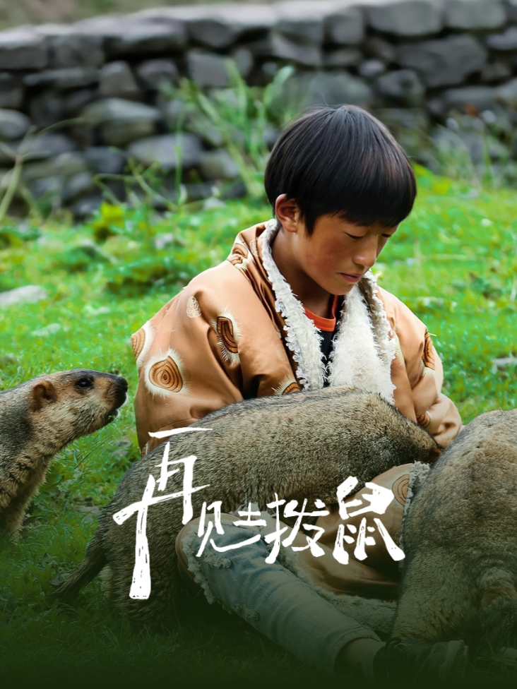 再见土拨鼠