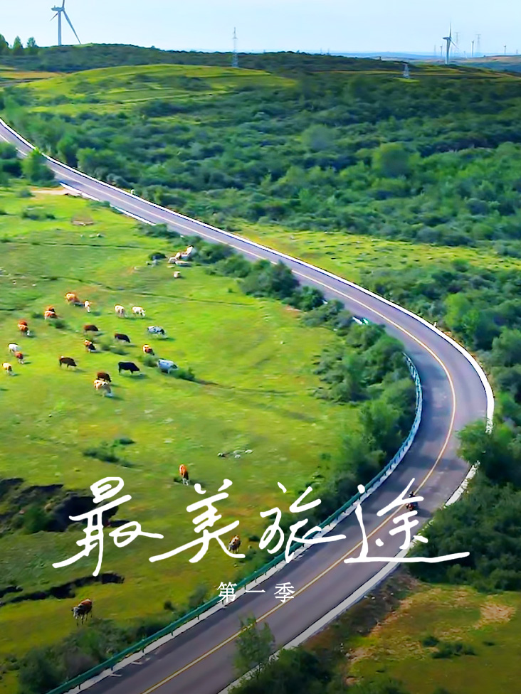 最美旅途第一季封面图
