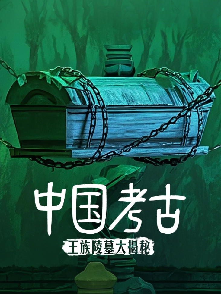 真三国无双在线观看