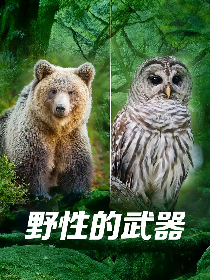 野性的武器封面图