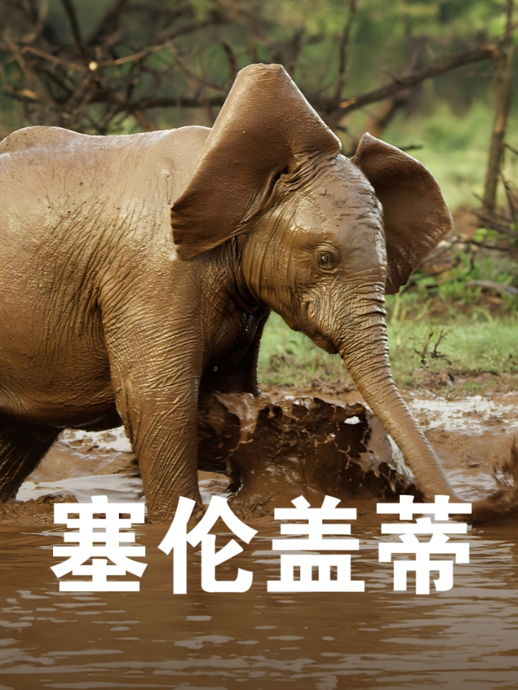 洛阳美食网