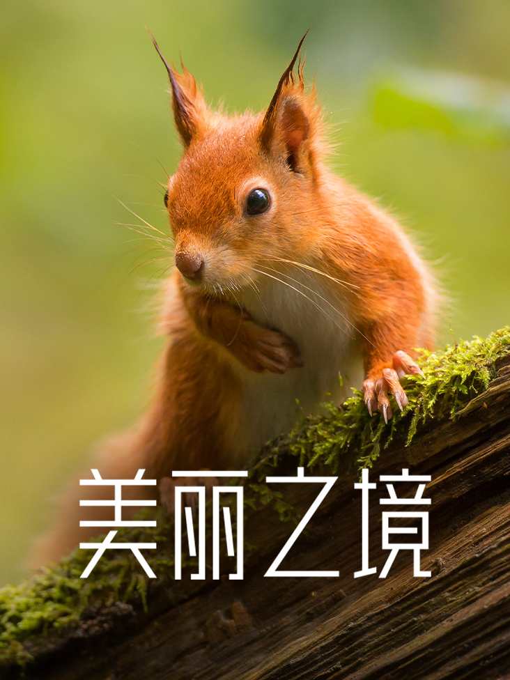 笑傲江湖 2013