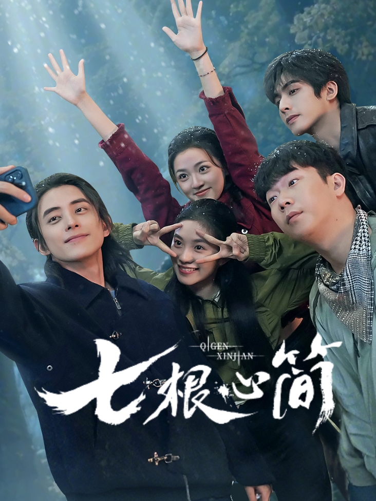 七根心简封面图