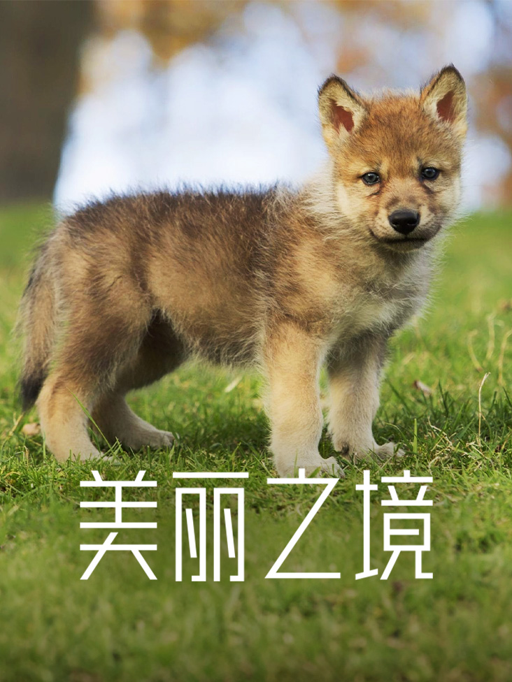 水门桥活下来的三个战士