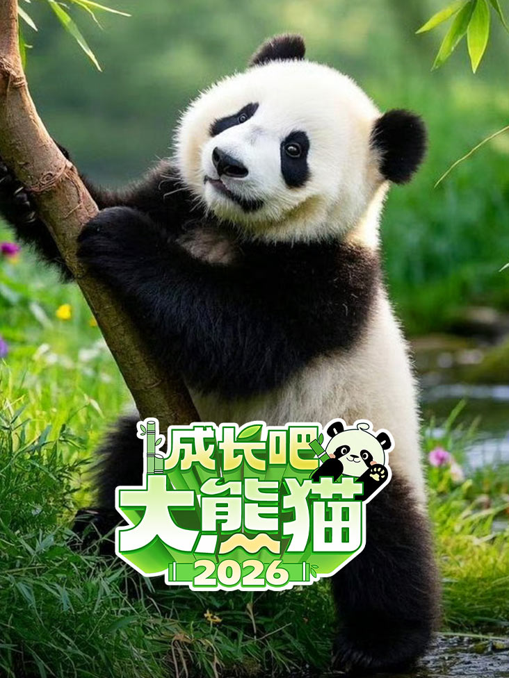 成长吧大熊猫2026之熊猫档案封面图