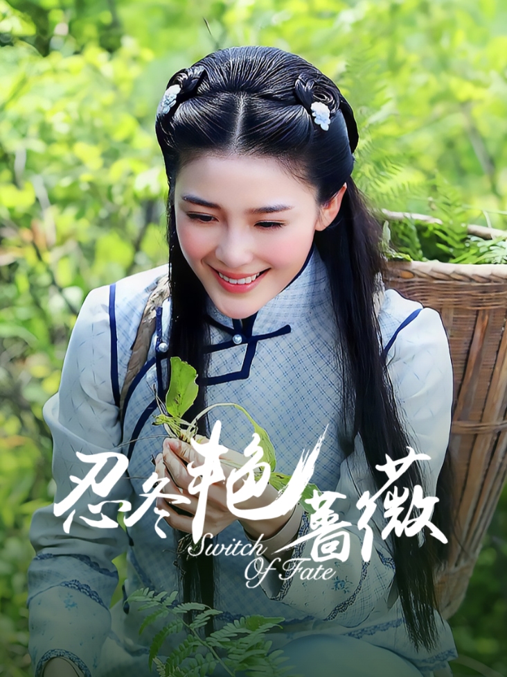 忍冬艳蔷薇