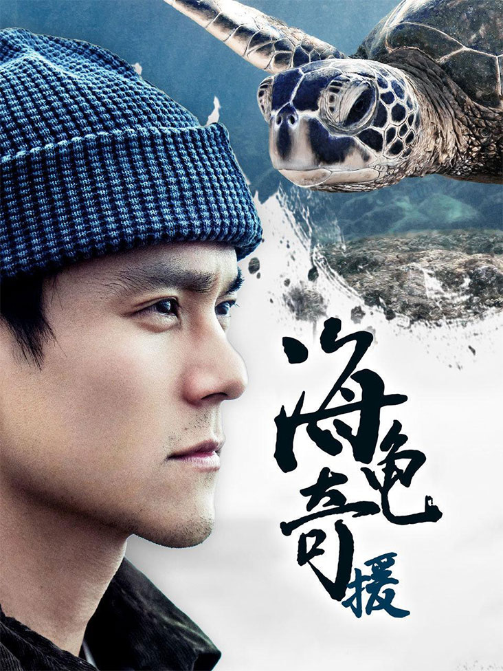 海龟奇援封面图