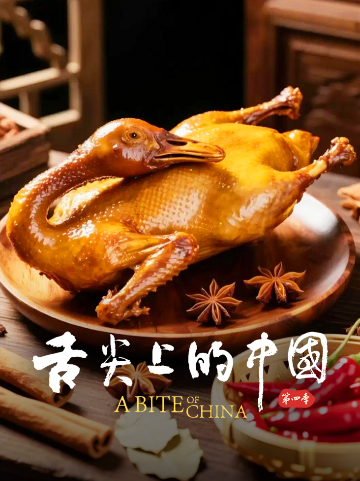 舌尖上的中国 4