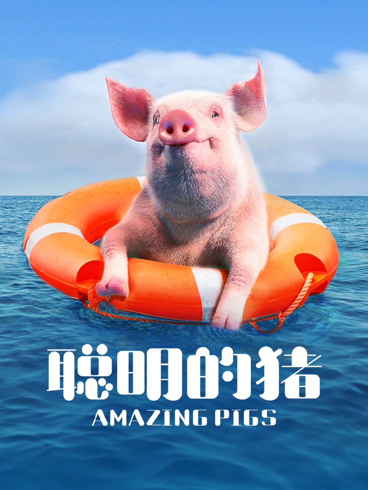 聪明的猪封面图