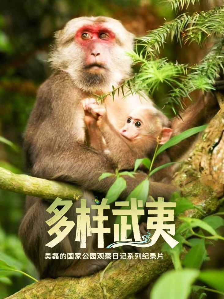 多样武夷吴磊的国家公园观察日记封面图