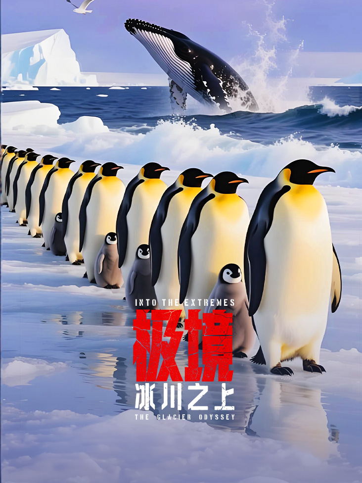 极境冰川之上封面图