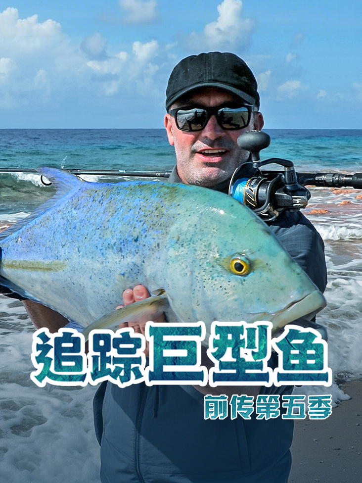 追踪巨型鱼前传第五季