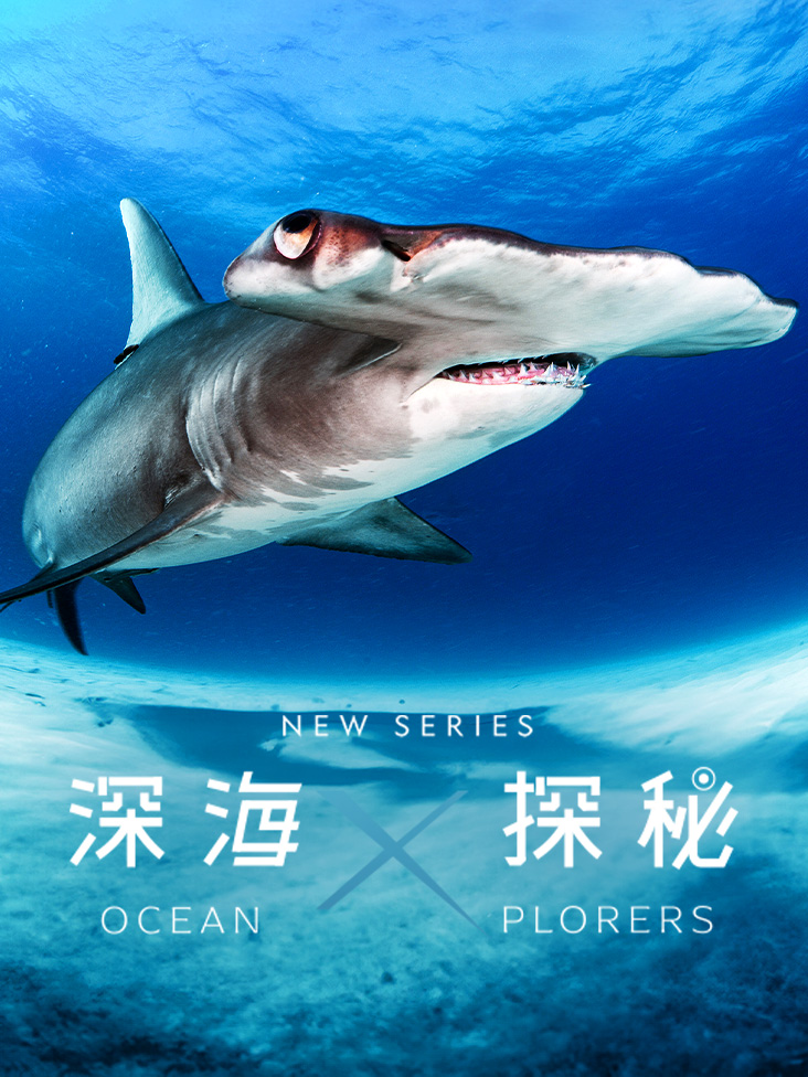 深海探秘}